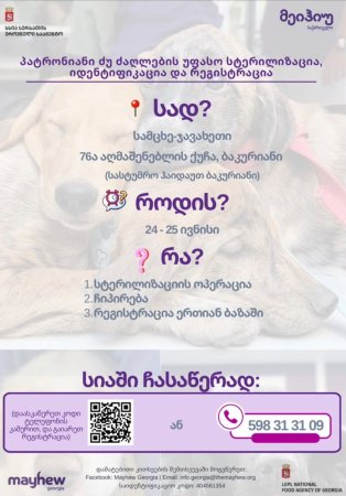 უფასო სტერილიზაციისა და ჩიპირების პროგრამა დაბა ბაკურიანში